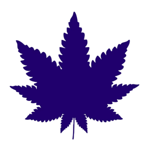 Thai Sihirli Mantar Sporları