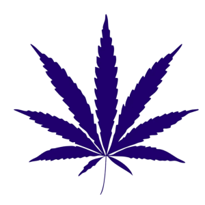 Thai Sihirli Mantar Sporları