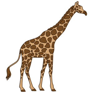 Thai Sihirli Mantar Sporları